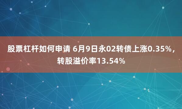 股票杠杆如何申请 6月9日永02转债上涨0.35%，转股溢价率13.54%