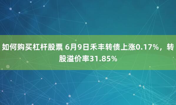 如何购买杠杆股票 6月9日禾丰转债上涨0.17%，转股溢价率31.85%