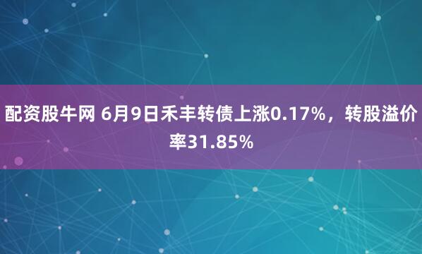 配资股牛网 6月9日禾丰转债上涨0.17%，转股溢价率31.85%