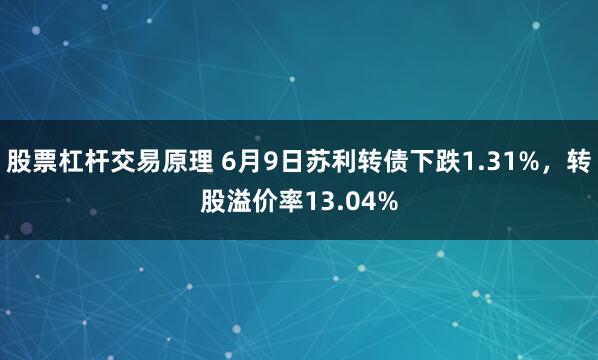 股票杠杆交易原理 6月9日苏利转债下跌1.31%，转股溢价率13.04%