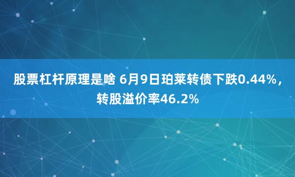 股票杠杆原理是啥 6月9日珀莱转债下跌0.44%，转股溢价率46.2%