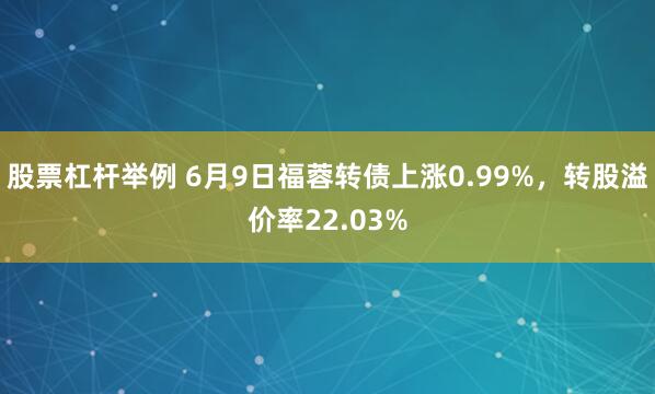 股票杠杆举例 6月9日福蓉转债上涨0.99%，转股溢价率22.03%