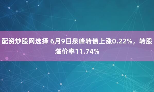 配资炒股网选择 6月9日泉峰转债上涨0.22%，转股溢价率11.74%
