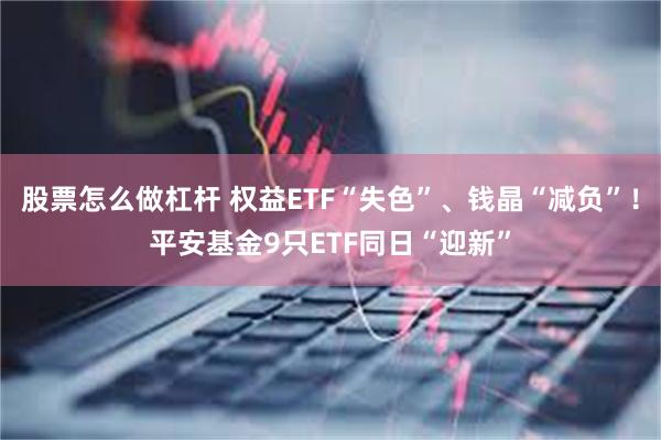 股票怎么做杠杆 权益ETF“失色”、钱晶“减负”！平安基金9只ETF同日“迎新”