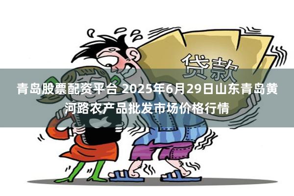 青岛股票配资平台 2025年6月29日山东青岛黄河路农产品批发市场价格行情
