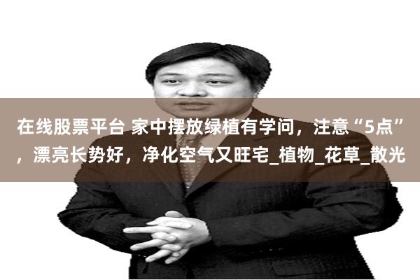 在线股票平台 家中摆放绿植有学问，注意“5点”，漂亮长势好，净化空气又旺宅_植物_花草_散光