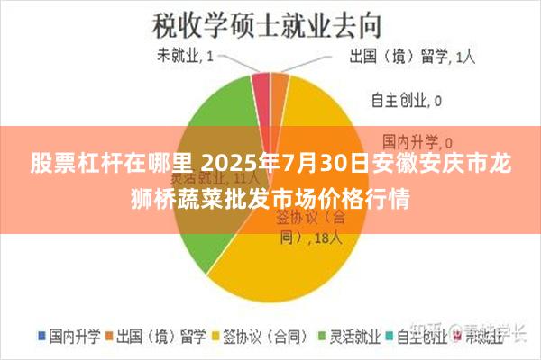 股票杠杆在哪里 2025年7月30日安徽安庆市龙狮桥蔬菜批发市场价格行情