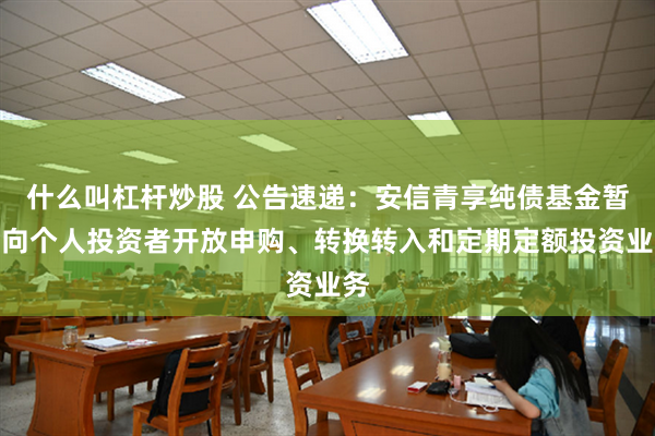 什么叫杠杆炒股 公告速递：安信青享纯债基金暂停向个人投资者开放申购、转换转入和定期定额投资业务