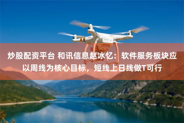 炒股配资平台 和讯信息赵冰忆：软件服务板块应以周线为核心目标，短线上日线做T可行
